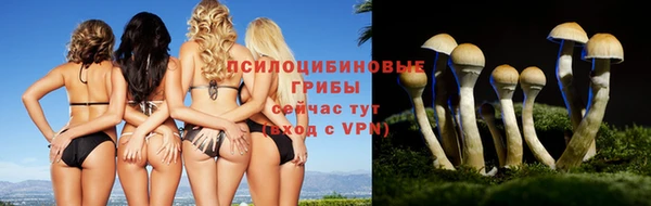 кристаллы Мегион